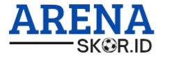 Arena Skor